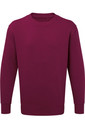 Image produit Sweat Anthem