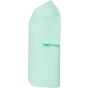 JHK Kid unisex T-shirt mint_green