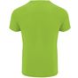 Roly Sport Bahrain lime