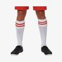 ProAct Chaussettes de sport à rayures PROACT