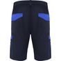 Roly WRK Tahoe marine/bleu_royal