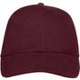 Sol's Buffalo bordeaux