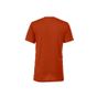 Bella Unisex triblend short sleeve tee brick_triblend