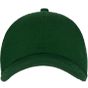 Neutral 6 Panel Cap bottle_green