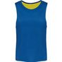 ProAct CHASUBLE RÉVERSIBLE MULTISPORTS ADULTE ET ENFANT fluorescent_yellow/sporty_royal_blue
