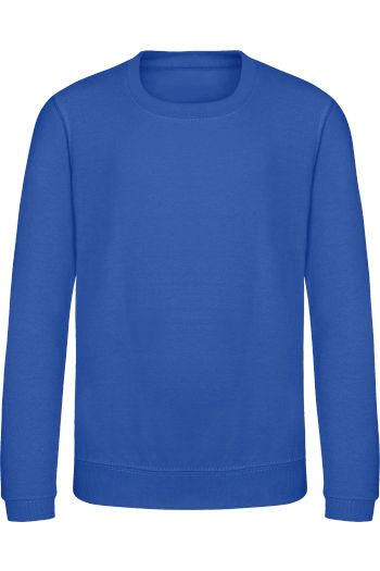 Image produit Kids Awdis Sweat