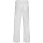 Roly Workwear Pintor blanc