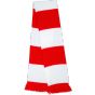 Result Team Scarf red/white