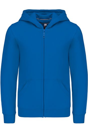 Image produit Sweat-shirt capuche zippé enfant