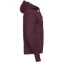 Russell Authentic Sweat capuche homme burgundy