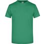 James&Nicholson Round-T Heavy irish_green