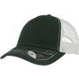 Atlantis Rapper Canvas bottle_green/white