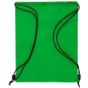 Stamina Graja vert_fougere