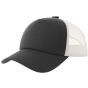 Atlantis RECORD-S dark_grey