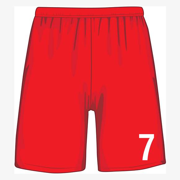 Numéros pour shorts : 7 Transfers