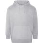 AWDis Ecologie Crater Recycled Hoodie heather_grey