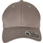 flexfit 110 Curved Visor Snapback grey