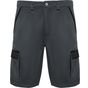 Roly WRK Tahoe plomb/noir