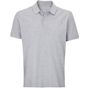 Sol's Pegase gris_chine