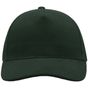 Atlantis Liberty Five Buckle Cap bottle_green