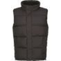 Regatta Men's Northdale Insulated Gilet black