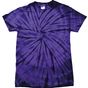 Colortone Tonal Spider T spider_purple