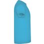 Roly Braco turquoise