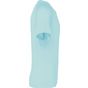 ProAct  T-shirt sport manches courtes homme ice_mint