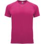 Roly Sport Bahrain rosace