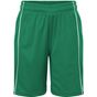 James&Nicholson Basic Team Shorts Junior green/white
