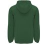 Roly Siberia vert_bouteille
