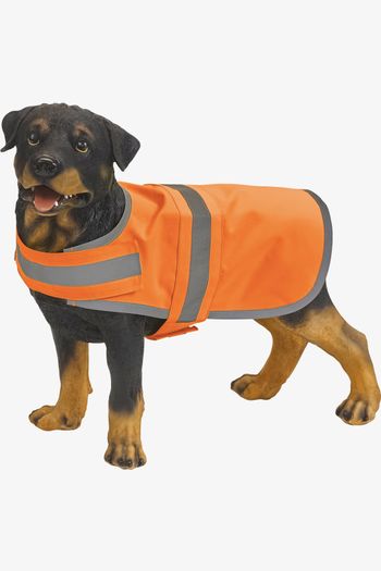 Image produit Gilet réfléchissant pour chien