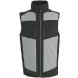 Regatta Men's E-Volve 2 Layer Softshell Gilet mineral_grey/ash