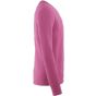 Pelot Nino Rose vif