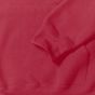 Russell Sweat capuche classic_red