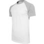 Build Your Brand Raglan Contrast Tee white/heather_grey