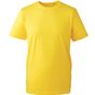 Anthem T-shirt homme Anthem yellow