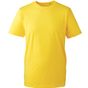 Anthem T-shirt homme Anthem - yellow - 6XL