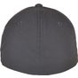 flexfit Flexfit Recycled Polyester Cap light_charcoal