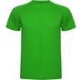 Roly Sport Montecarlo vert_fougere
