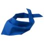 Myrtle Beach Triangular Scarf royal