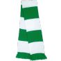 Result Team Scarf kelly_green/white