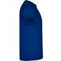 Roly Braco bleu_royal