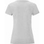 fruit of the loom Ladies Iconic 150 T heather_grey