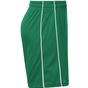 James&Nicholson Basic Team Shorts Junior green/white