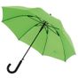 L-merch Automatic Windproof Umbrella light_green