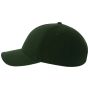 Atlantis LIBERTY SANDWICH-S bottle_green/white