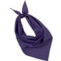 K-up Fiesta - Bandana purple