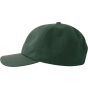 Atlantis DAD HAT-S bottle_green