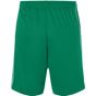 James&Nicholson Basic Team Shorts green/white